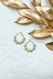 Gold Mini Darcy Hoops